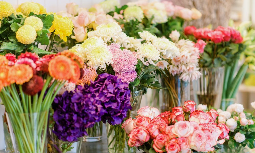 Frische bunte Schnittblumen bei Blumen Bingold in Nürnberg